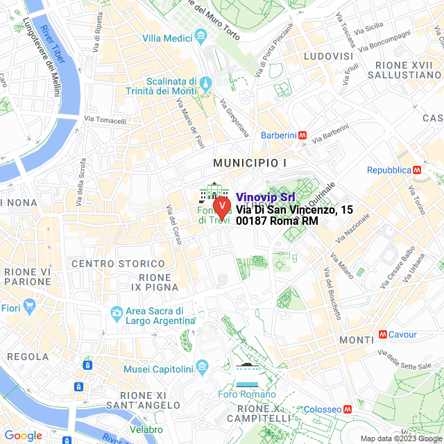 apri la mappa di Vinovip Srl