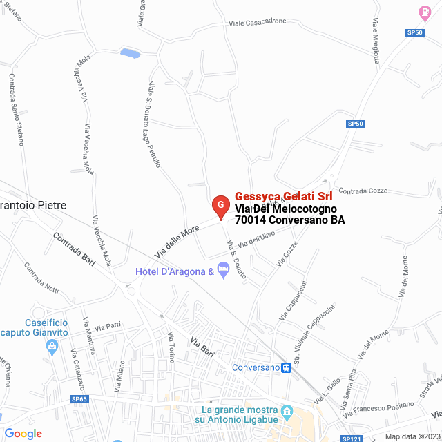 apri la mappa di Gessyca Gelati Srl