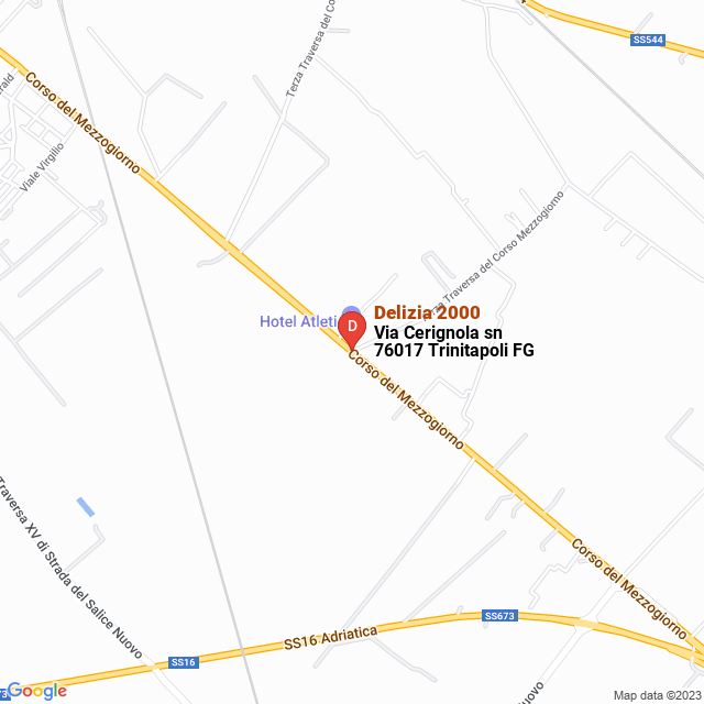 apri la mappa di Delizia 2000