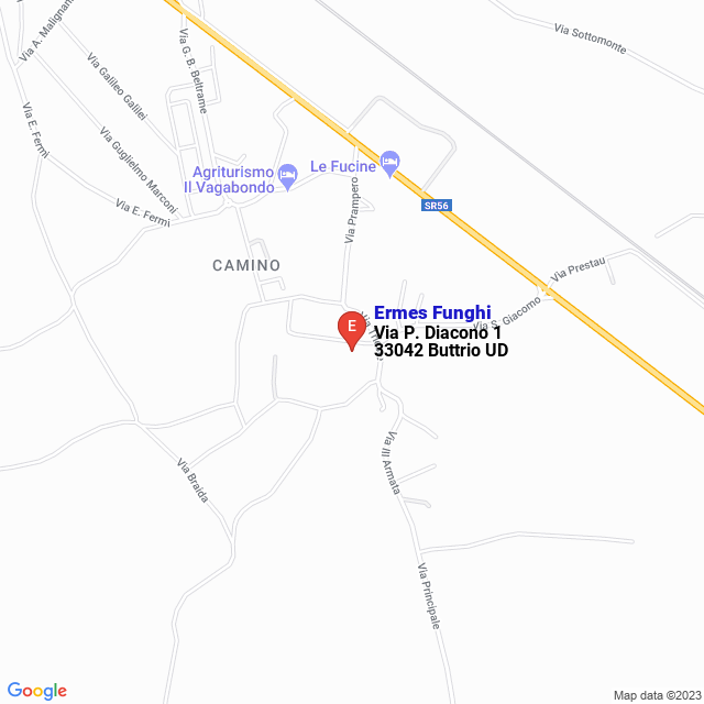 apri la mappa di Ermes Funghi