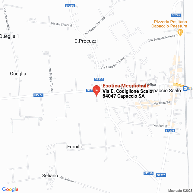 apri la mappa di Esotica Meridionale