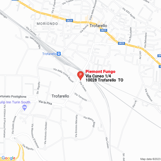 apri la mappa di Piemont Fungo