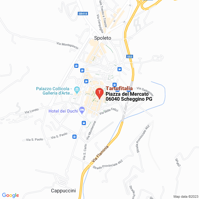 apri la mappa di Tartufitalia