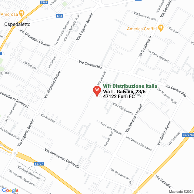 apri la mappa di Wfr Distribuzione Italia