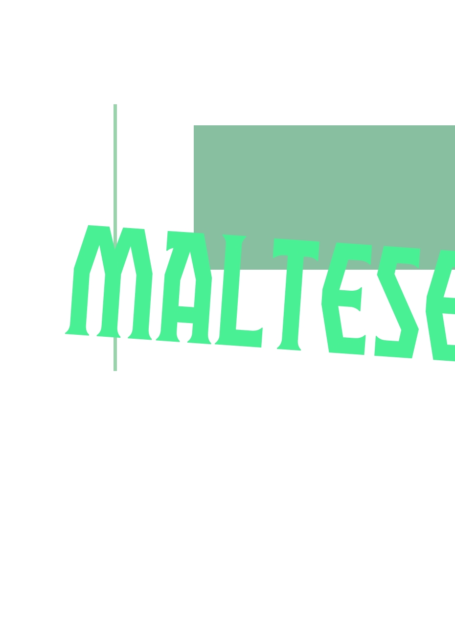 Maltese.beer