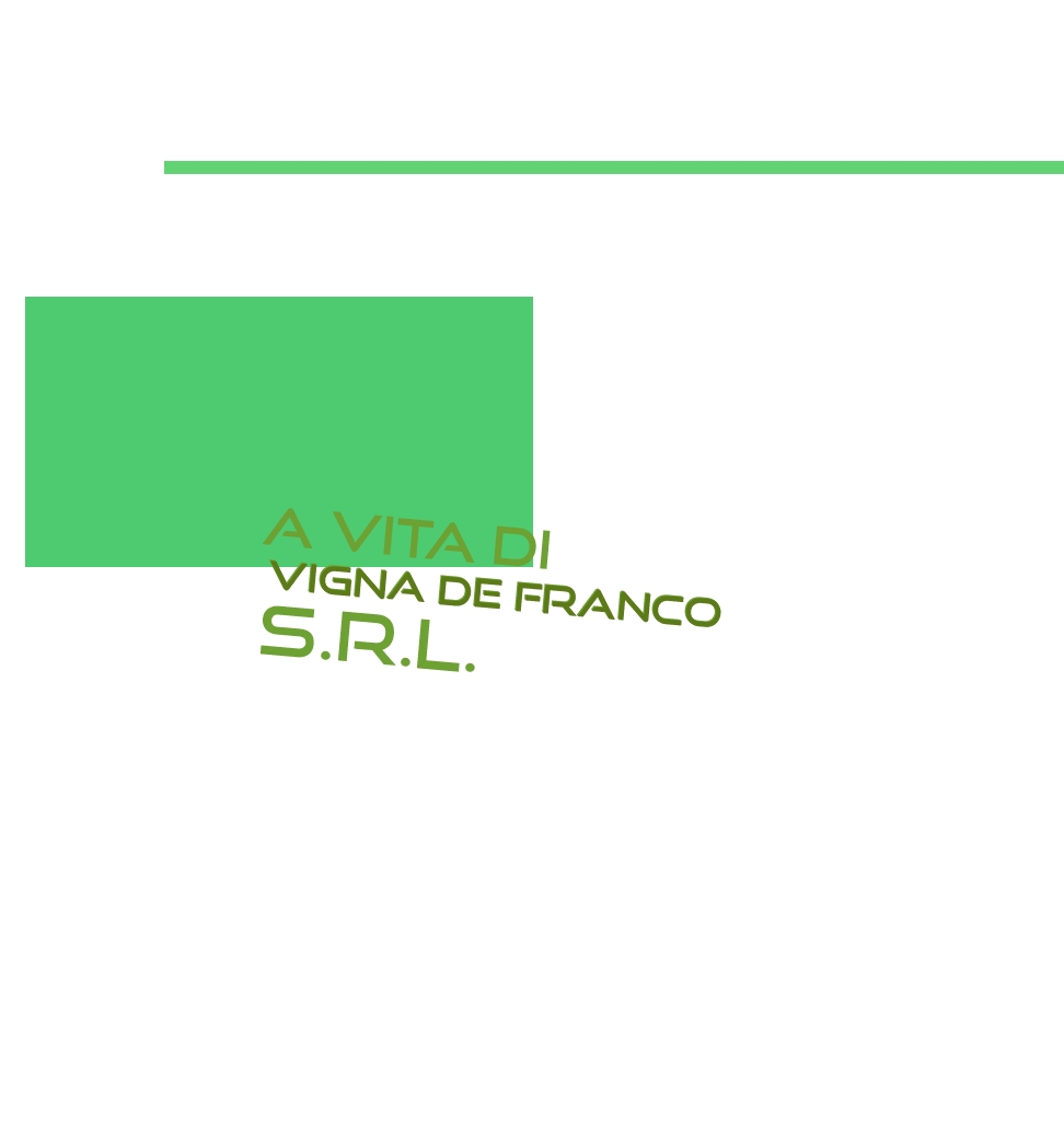 A Vita di Vigna De Franco S.r.l.