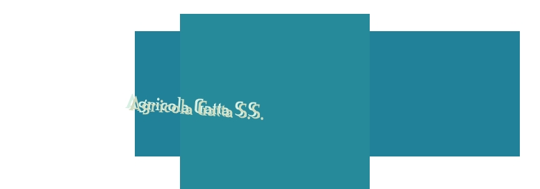Agricola Gatta S.S. Agricola Gatta S.S.