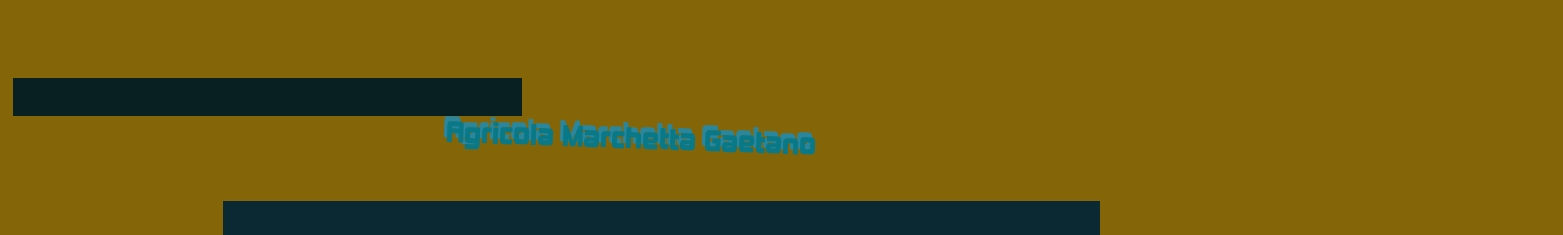 Agricola Marchetta Gaetano