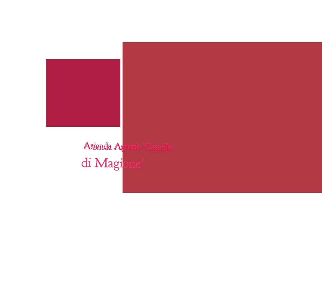Azienda Agraria ‘Castello di Magione‘