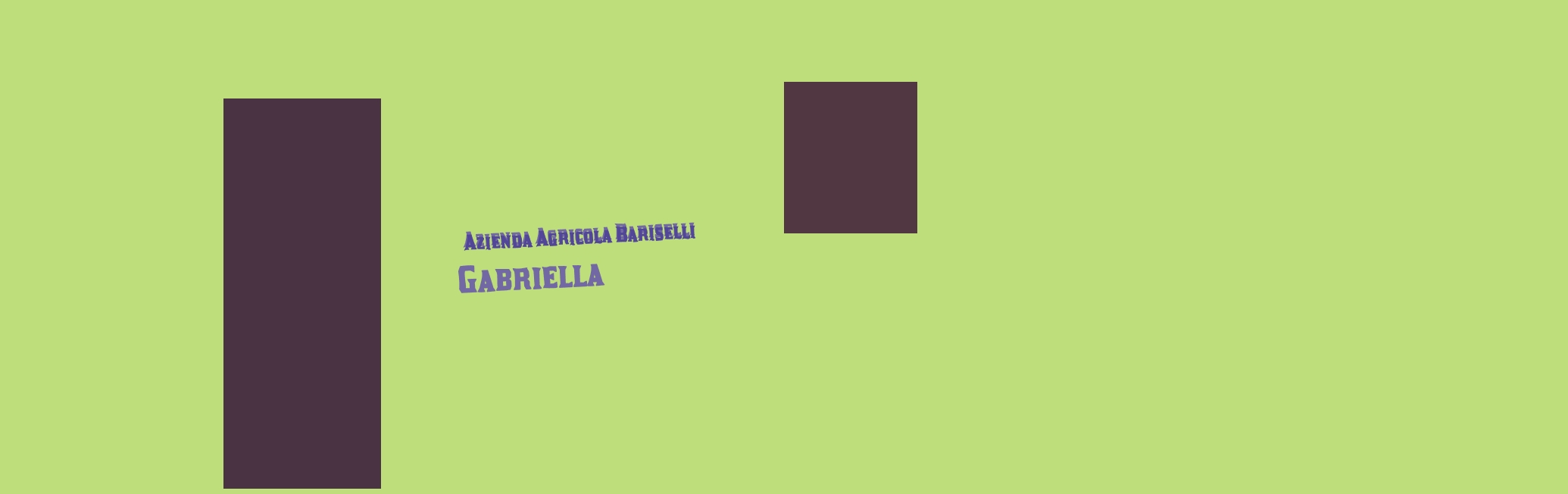 Azienda Agricola Bariselli Gabriella