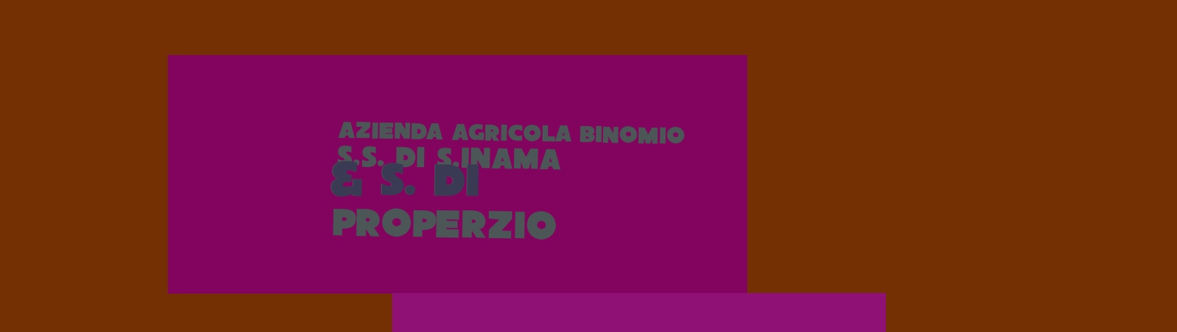 Azienda Agricola Binomio S.S. di S.Inama & S. di Properzio