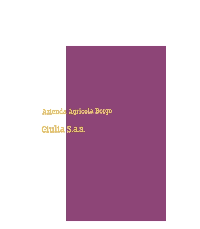 Azienda Agricola Borgo Giulia S.a.s.