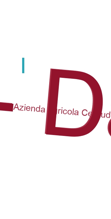 Azienda Agricola Ceraudo - Dattilo