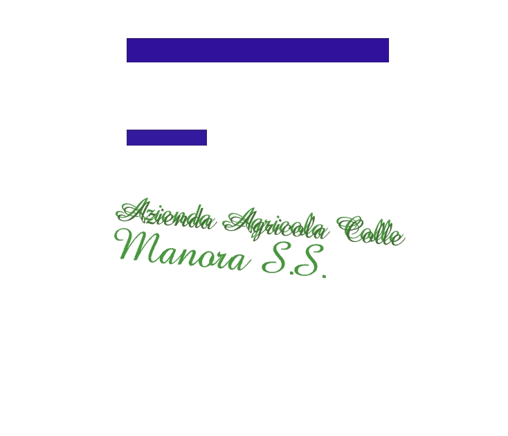 logo Azienda Agricola Colle Manora S.S.