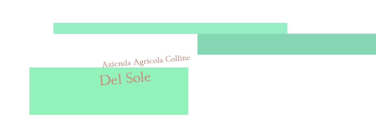 Azienda Agricola Colline Del Sole