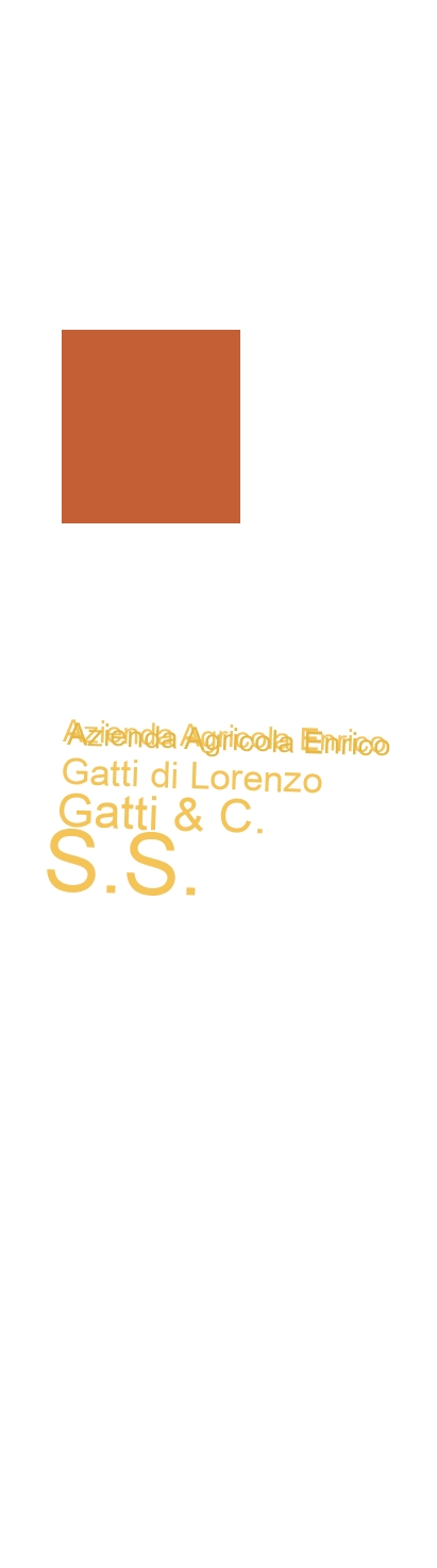 Azienda Agricola Enrico Gatti di Lorenzo Gatti & C. S.S.