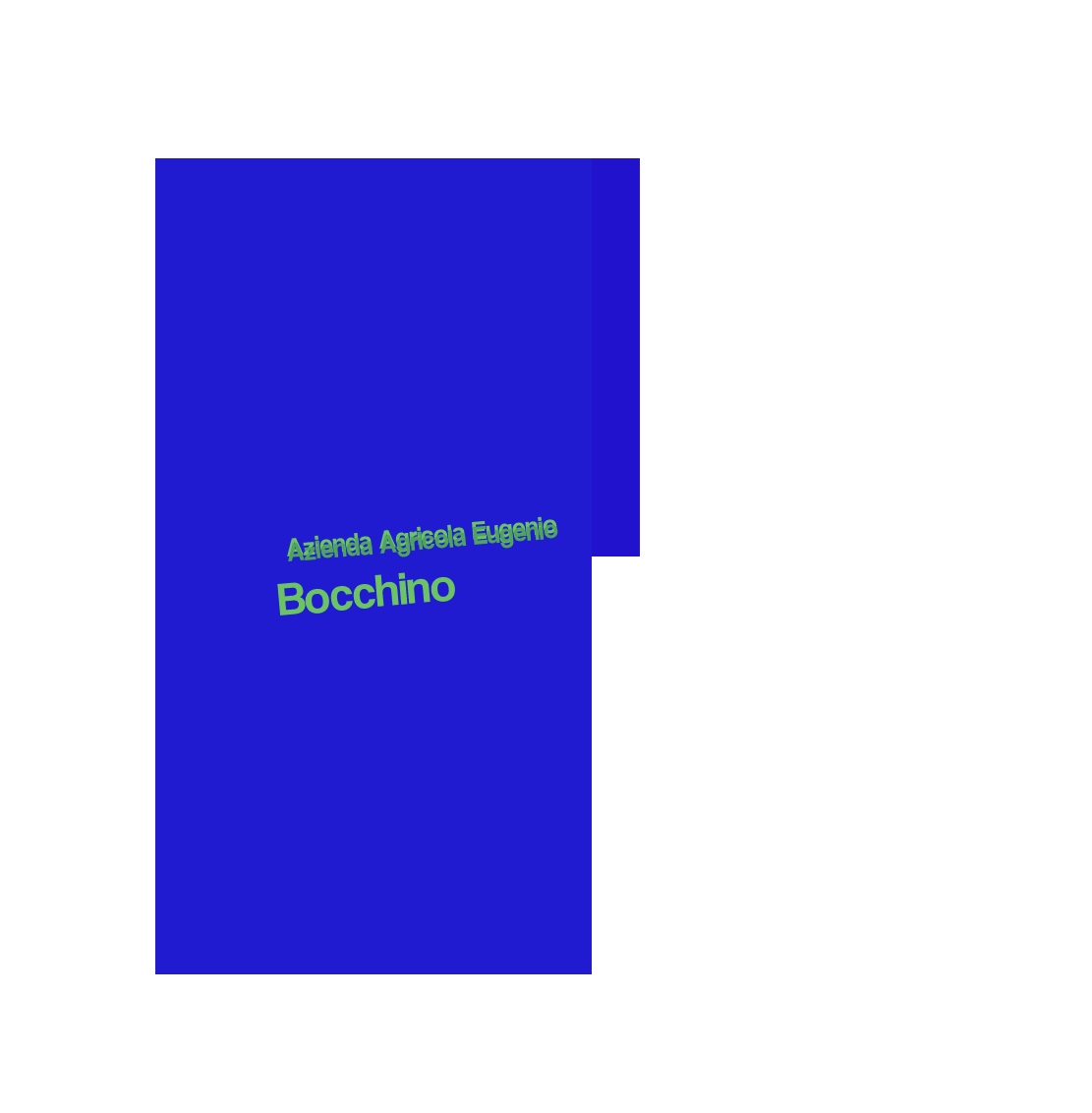 Azienda Agricola Eugenio Bocchino