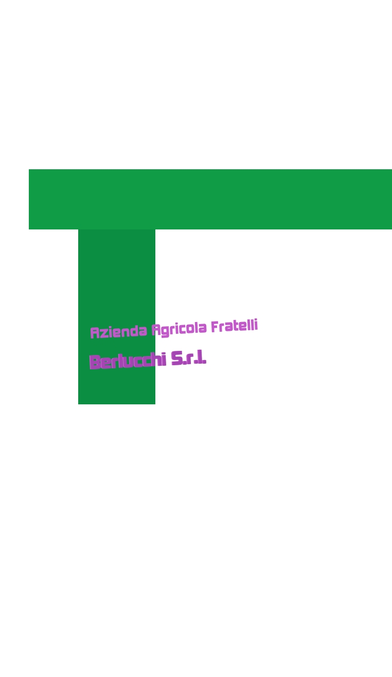 Azienda Agricola Fratelli Berlucchi S.r.l.