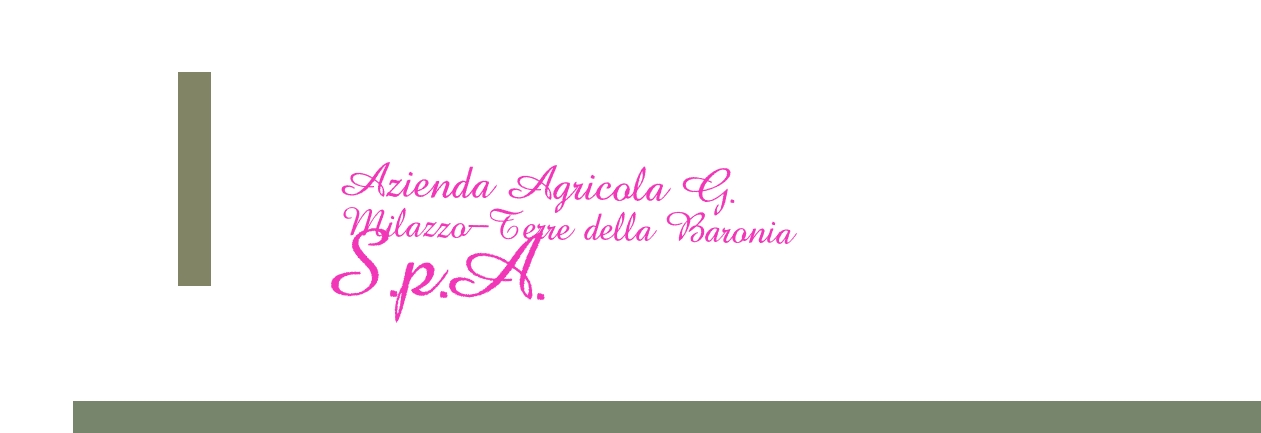 Azienda Agricola G. Milazzo-Terre della Baronia S.p.A.