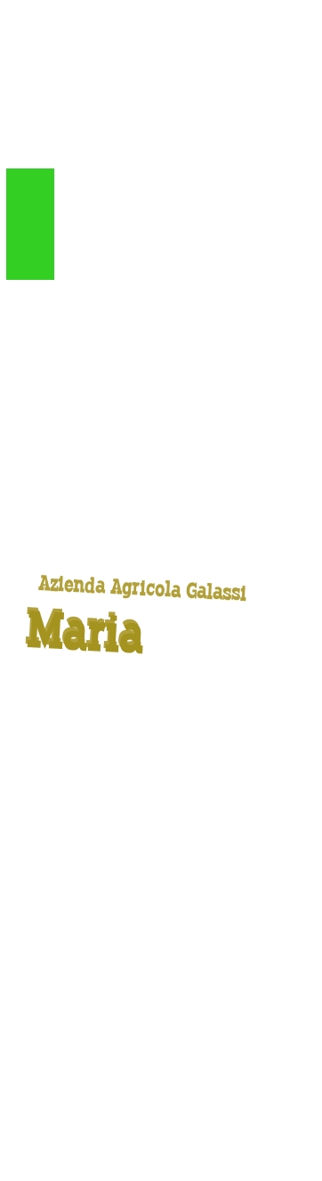 Azienda Agricola Galassi Maria