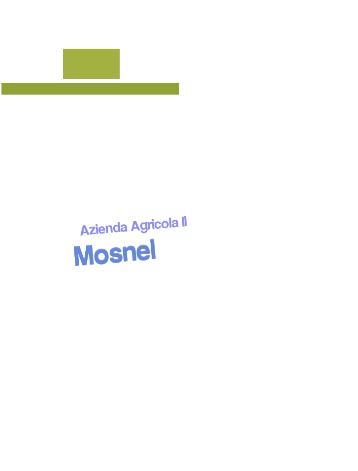 Azienda Agricola Il Mosnel