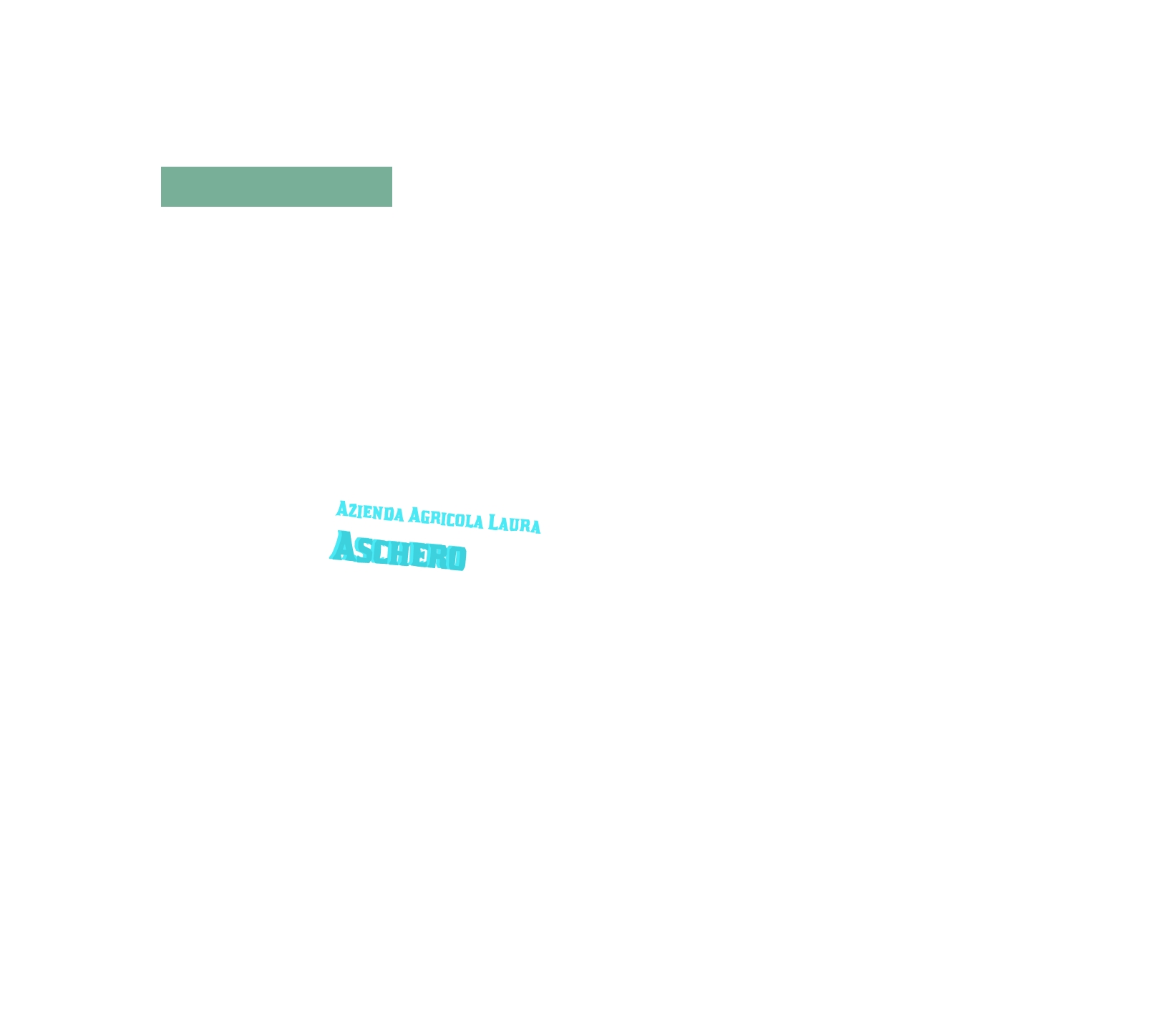 Azienda Agricola Laura Aschero