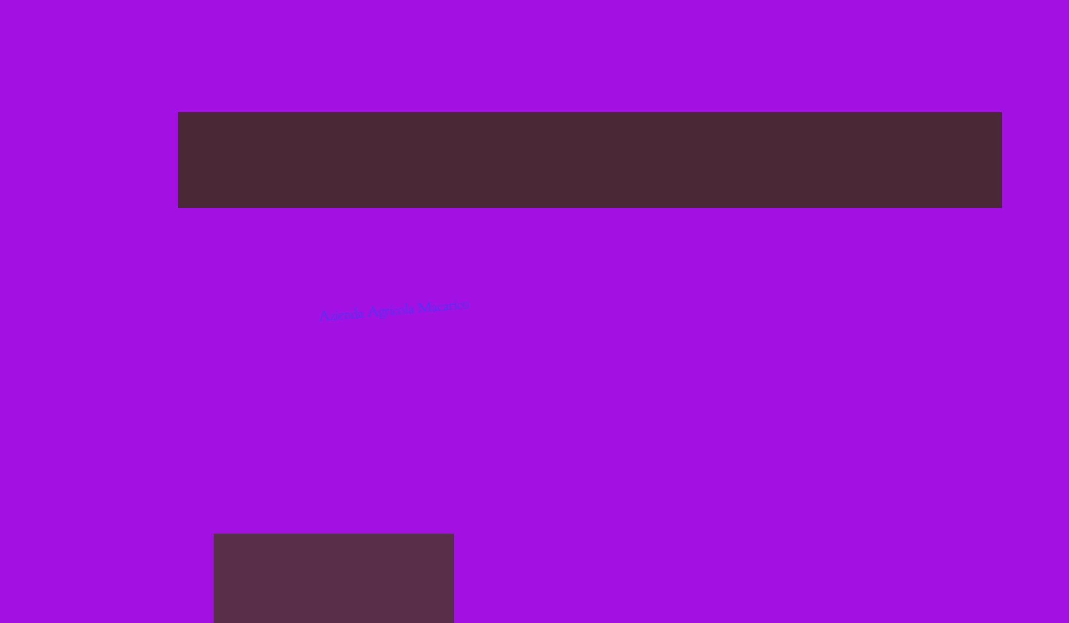 Azienda Agricola Macarico