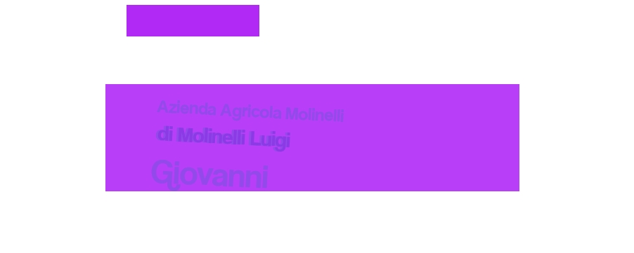 Azienda Agricola Molinelli di Molinelli Luigi Giovanni