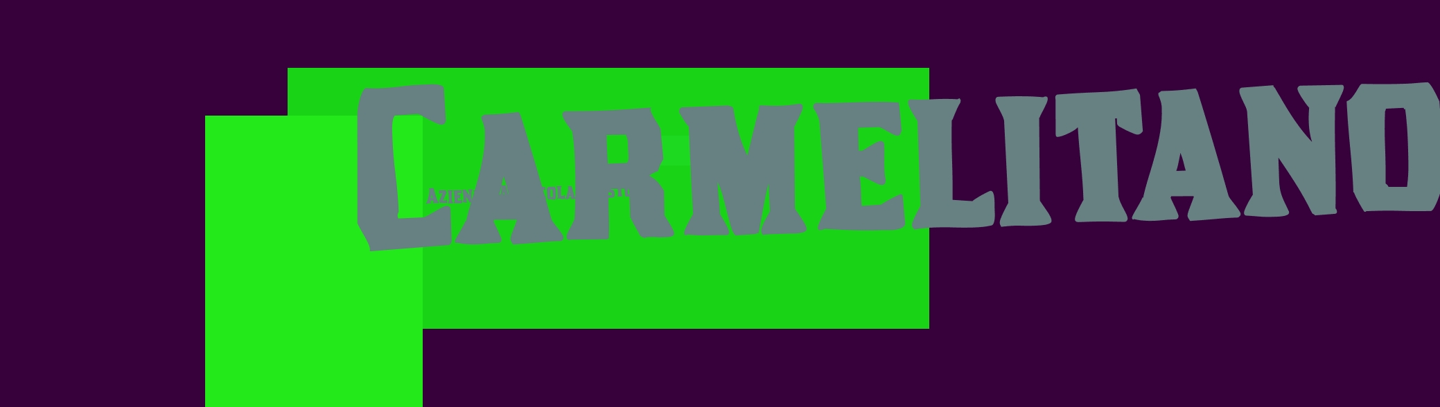 Azienda Agricola Musto Carmelitano Elisabetta