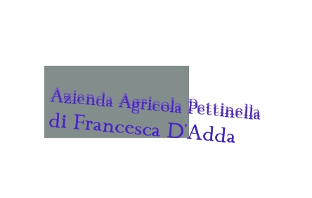 logo Azienda Agricola Pettinella di Francesca D‘Adda