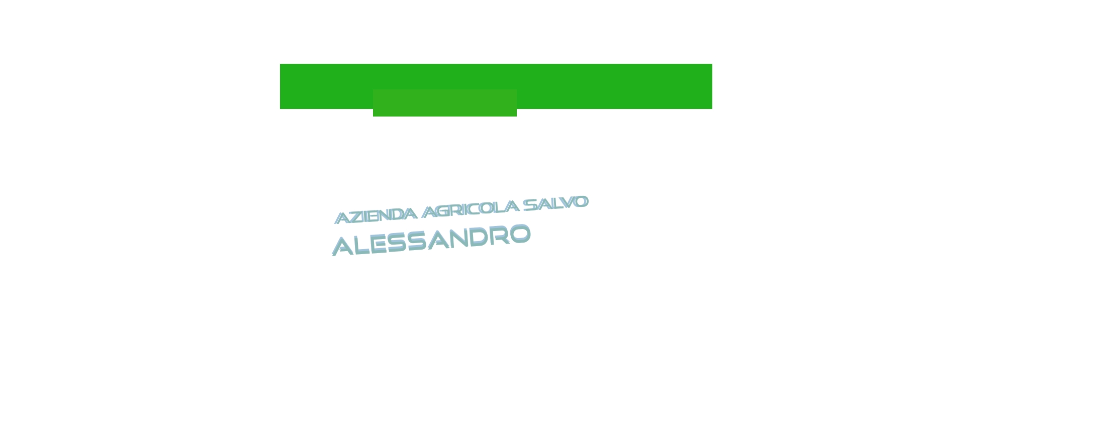 Azienda Agricola Salvo Alessandro