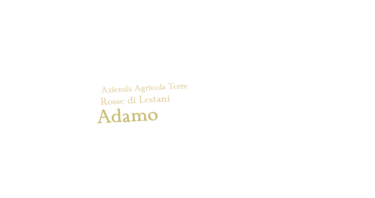 logo Azienda Agricola Terre Rosse di Lestani Adamo