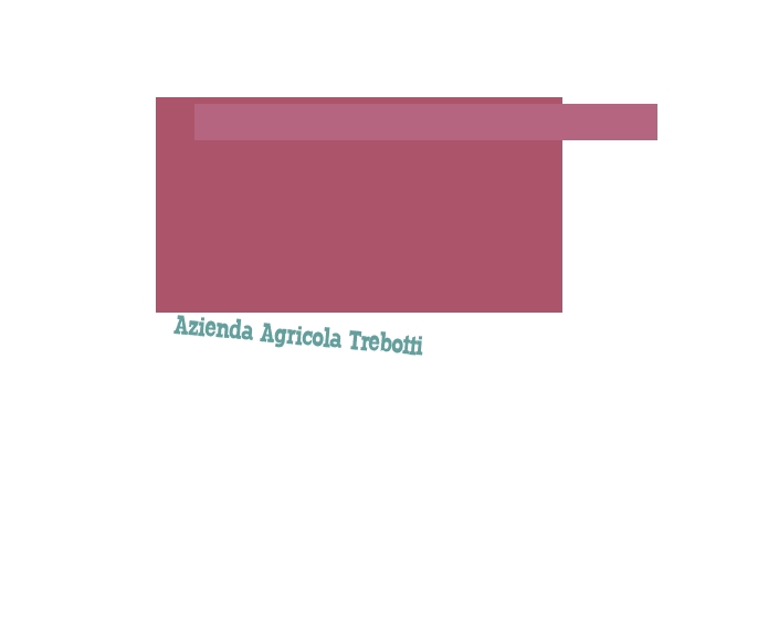 Azienda Agricola Trebotti