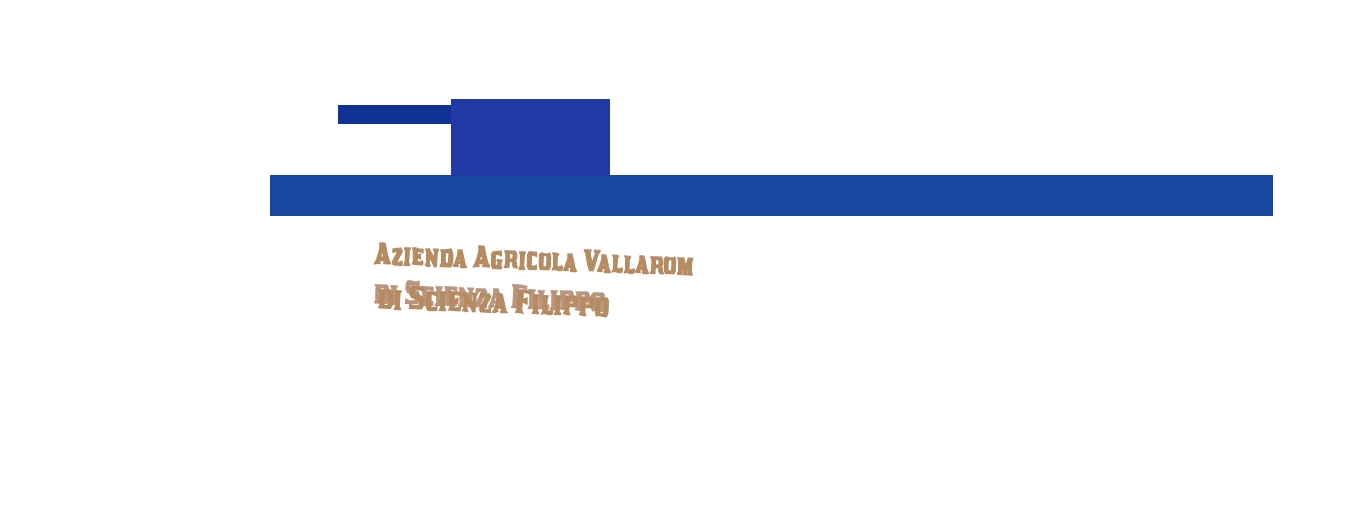 logo Azienda Agricola Vallarom di Scienza Filippo