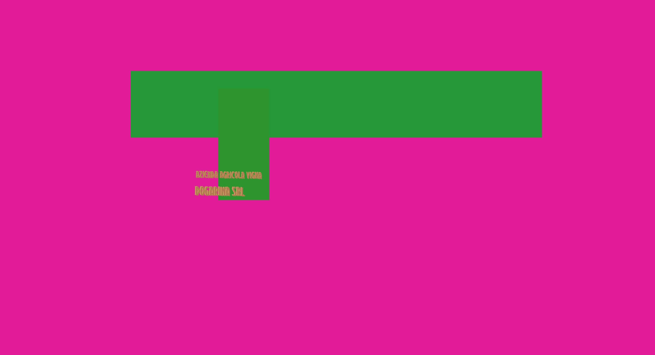 Azienda Agricola Vigna Dogarina Srl