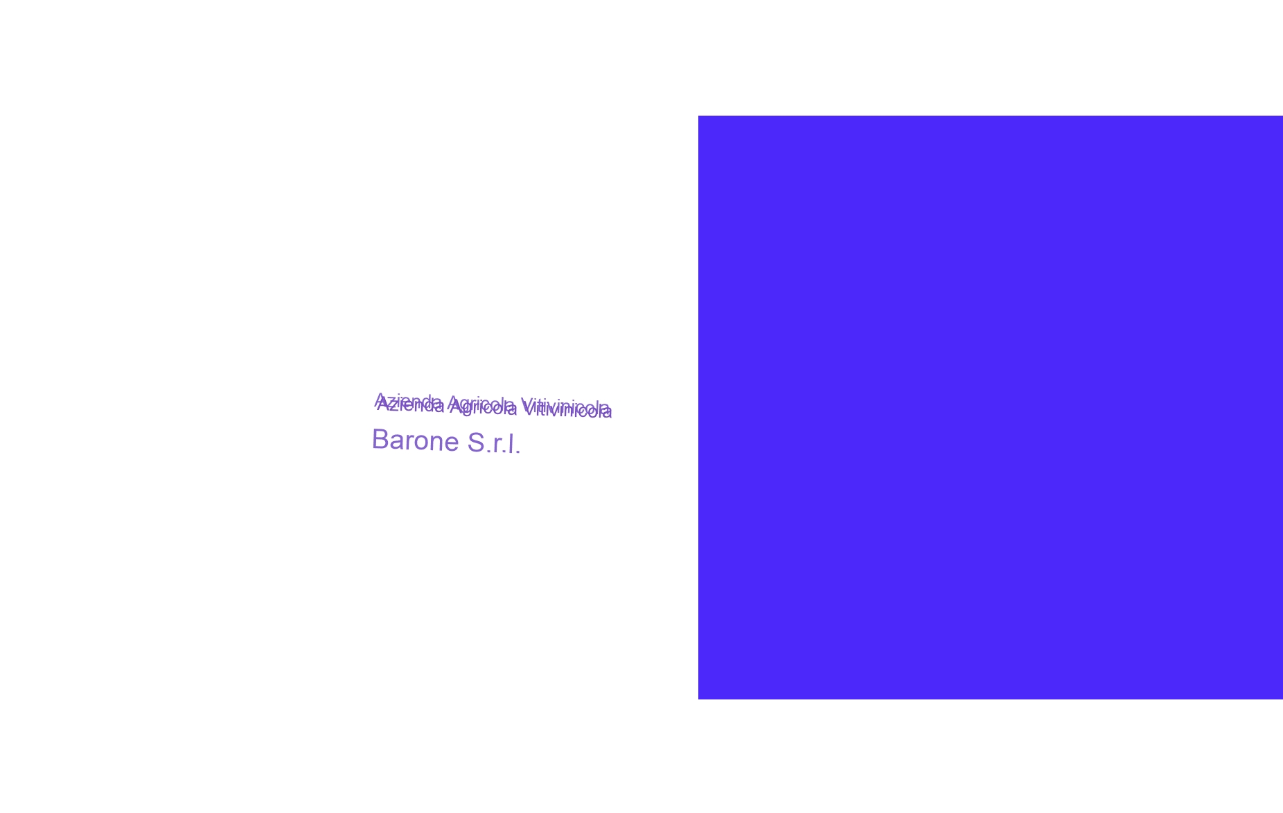 Azienda Agricola Vitivinicola Barone S.r.l. Azienda Agricola Vitivinicola Barone S.r.l.