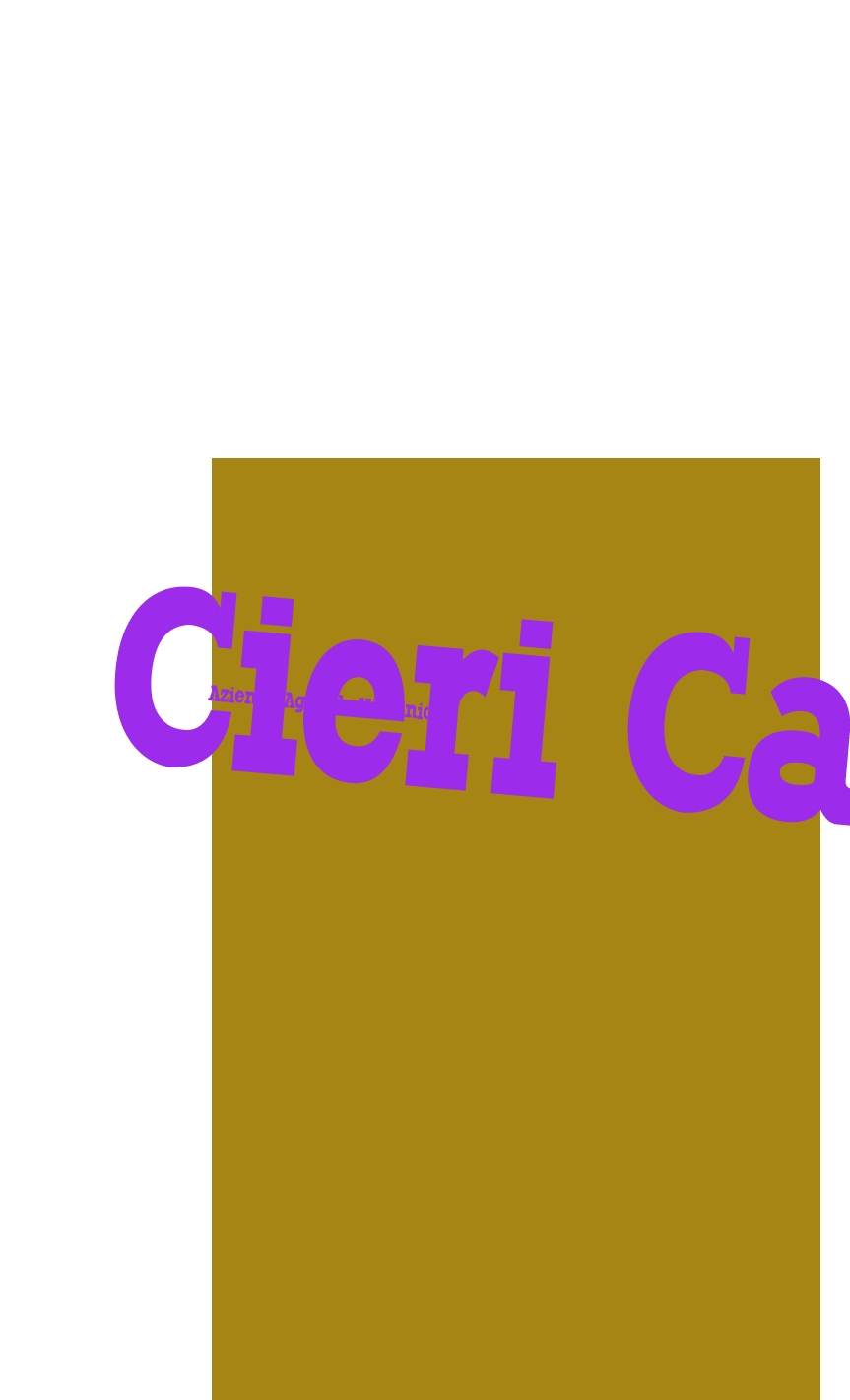 Azienda Agricola Vitivinicola Cieri Camillo