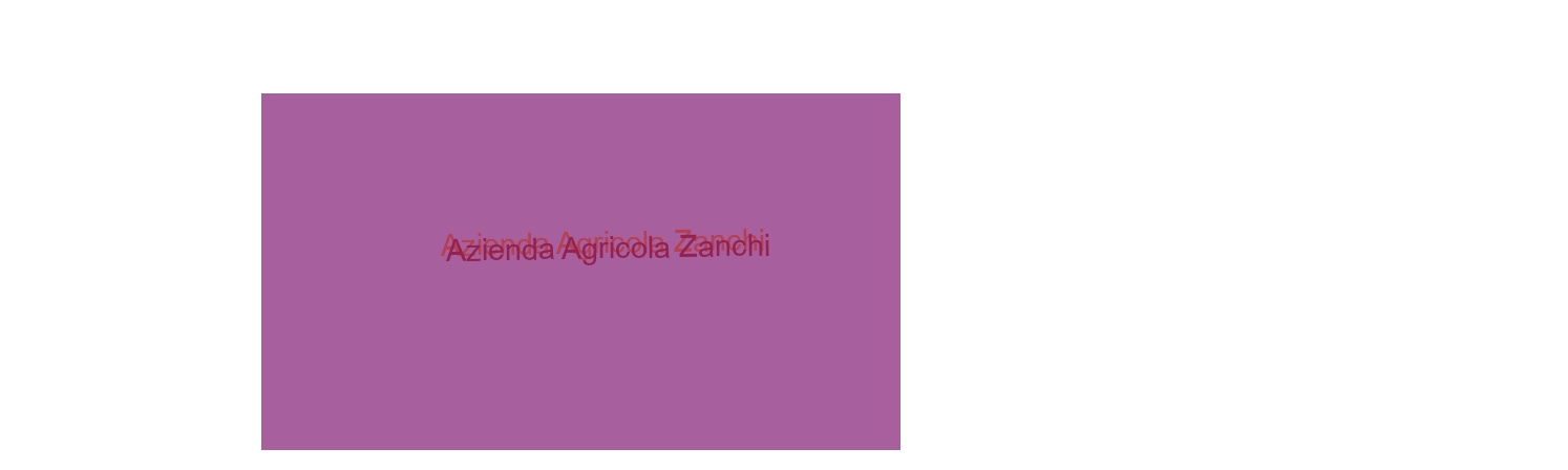 Azienda Agricola Zanchi