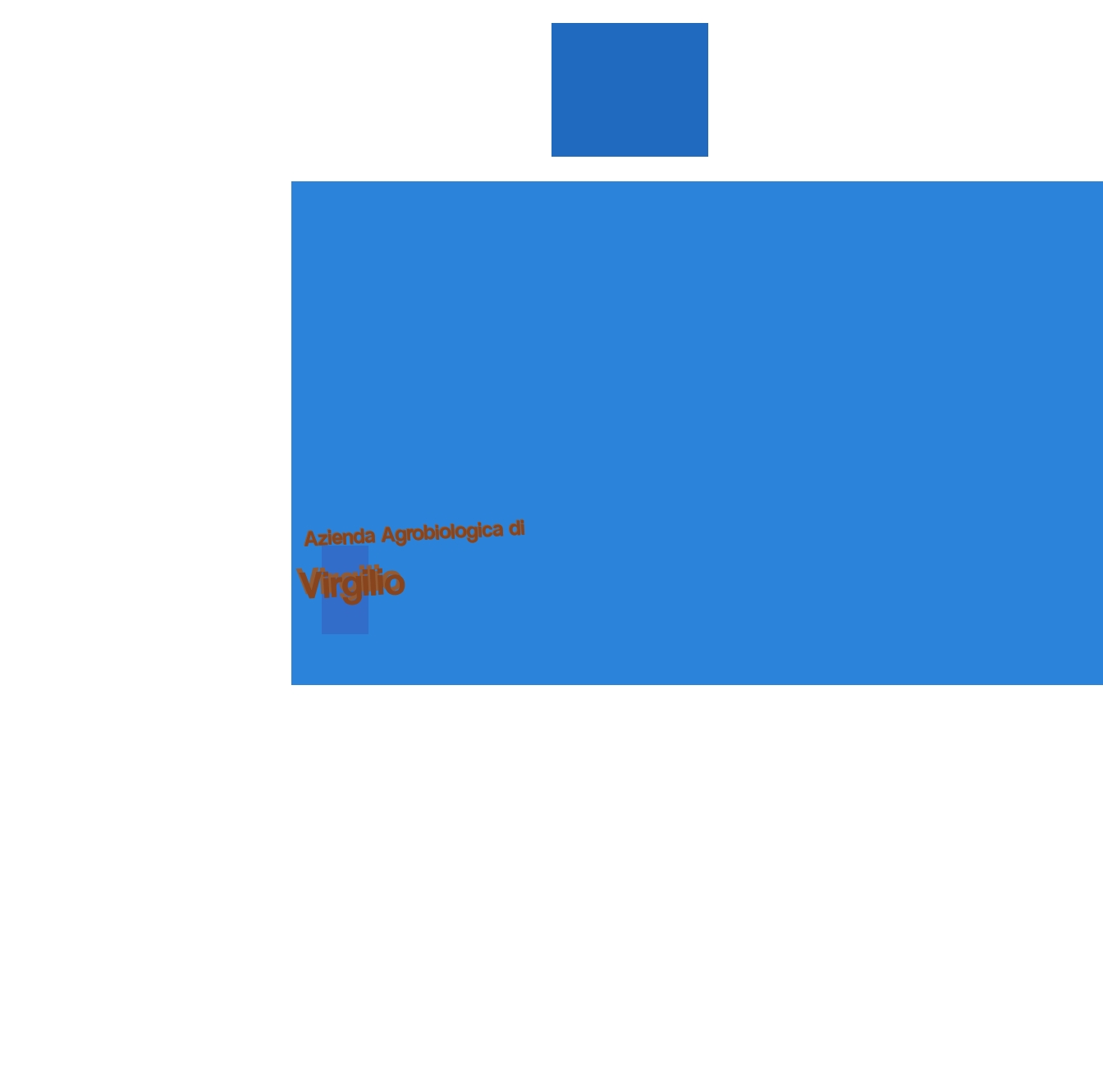 Azienda Agrobiologica di Virgilio