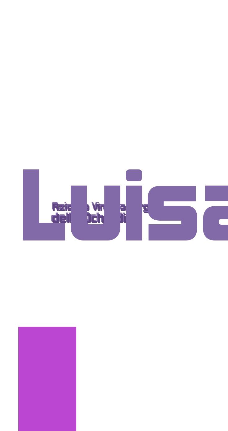 Azienda Vinicola Borgo delle Oche di Luisa Menini