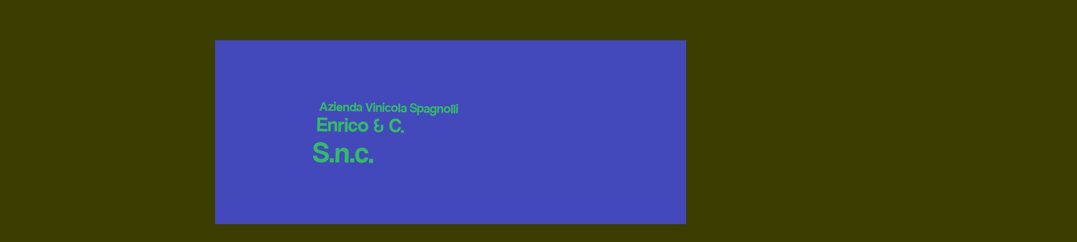 Azienda Vinicola Spagnolli Enrico & C. S.n.c.
