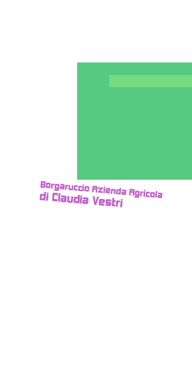 logo Borgaruccio Azienda Agricola di Claudia Vestri