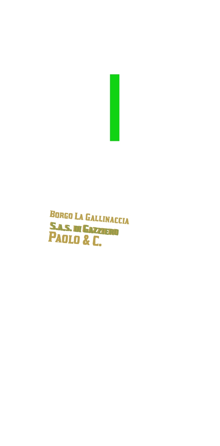 Borgo La Gallinaccia S.a.s. di Gazziero Paolo & C.