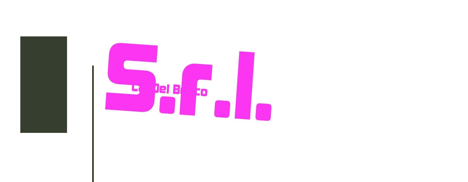 Ca‘ Del Bosco S.r.l.