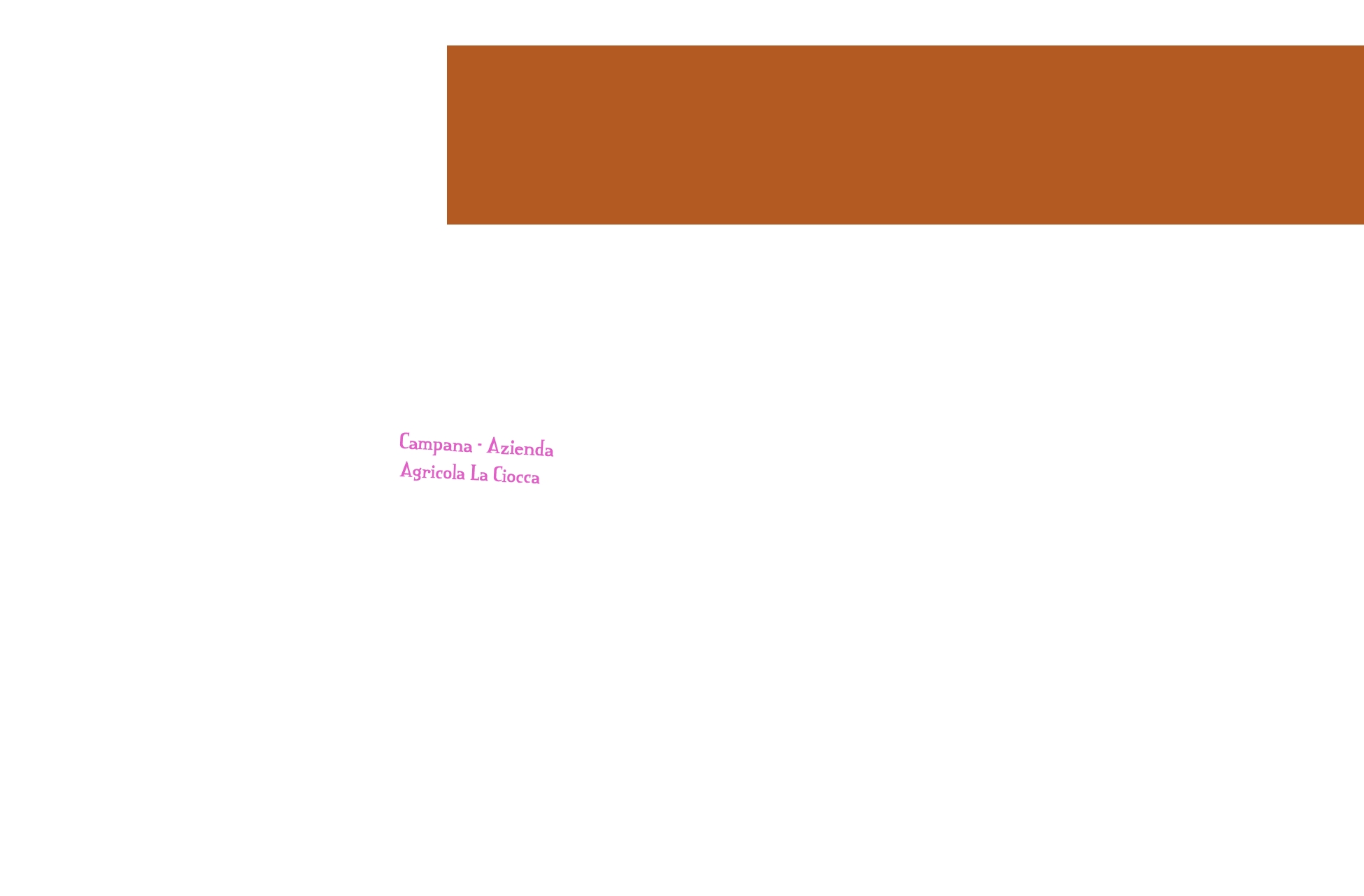 Campana - Azienda Agricola La Ciocca