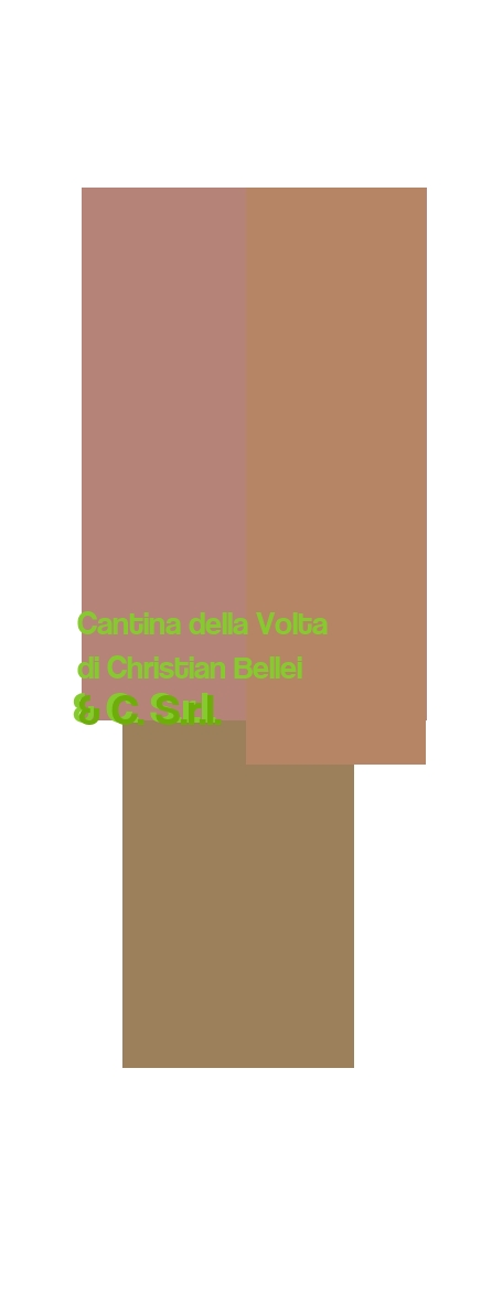 Cantina della Volta di Christian Bellei & C. S.r.l.