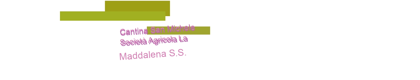 Cantina San Michele Società Agricola La Maddalena S.S.