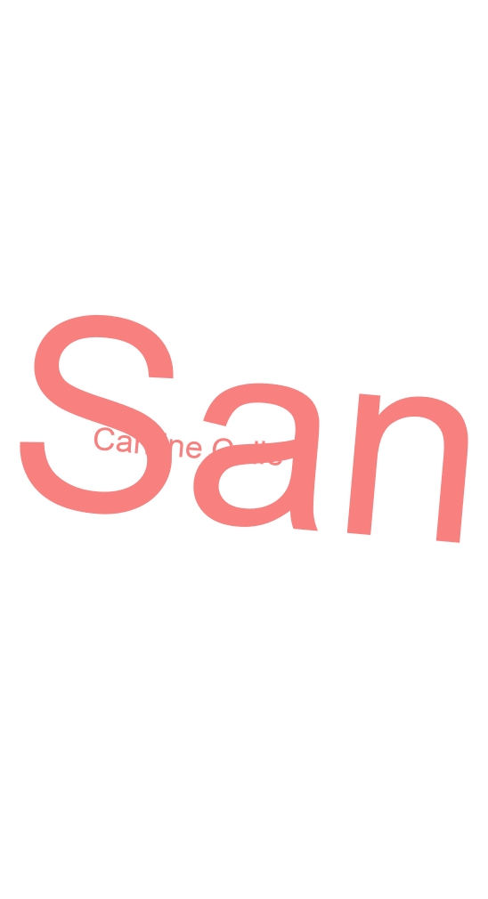 Cantine Colle di San Domenico Cantine Colle di San Domenico