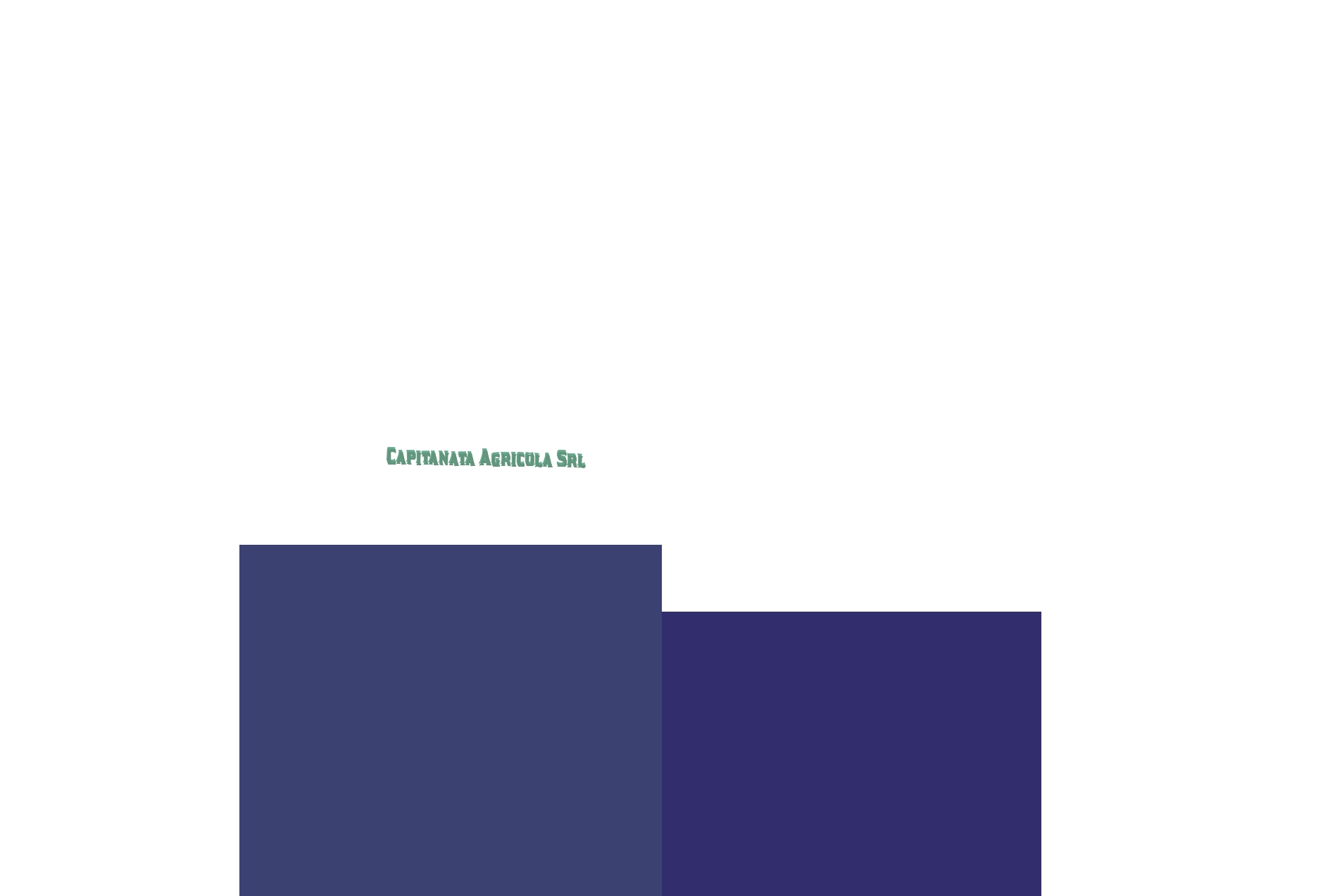 Capitanata Agricola Srl