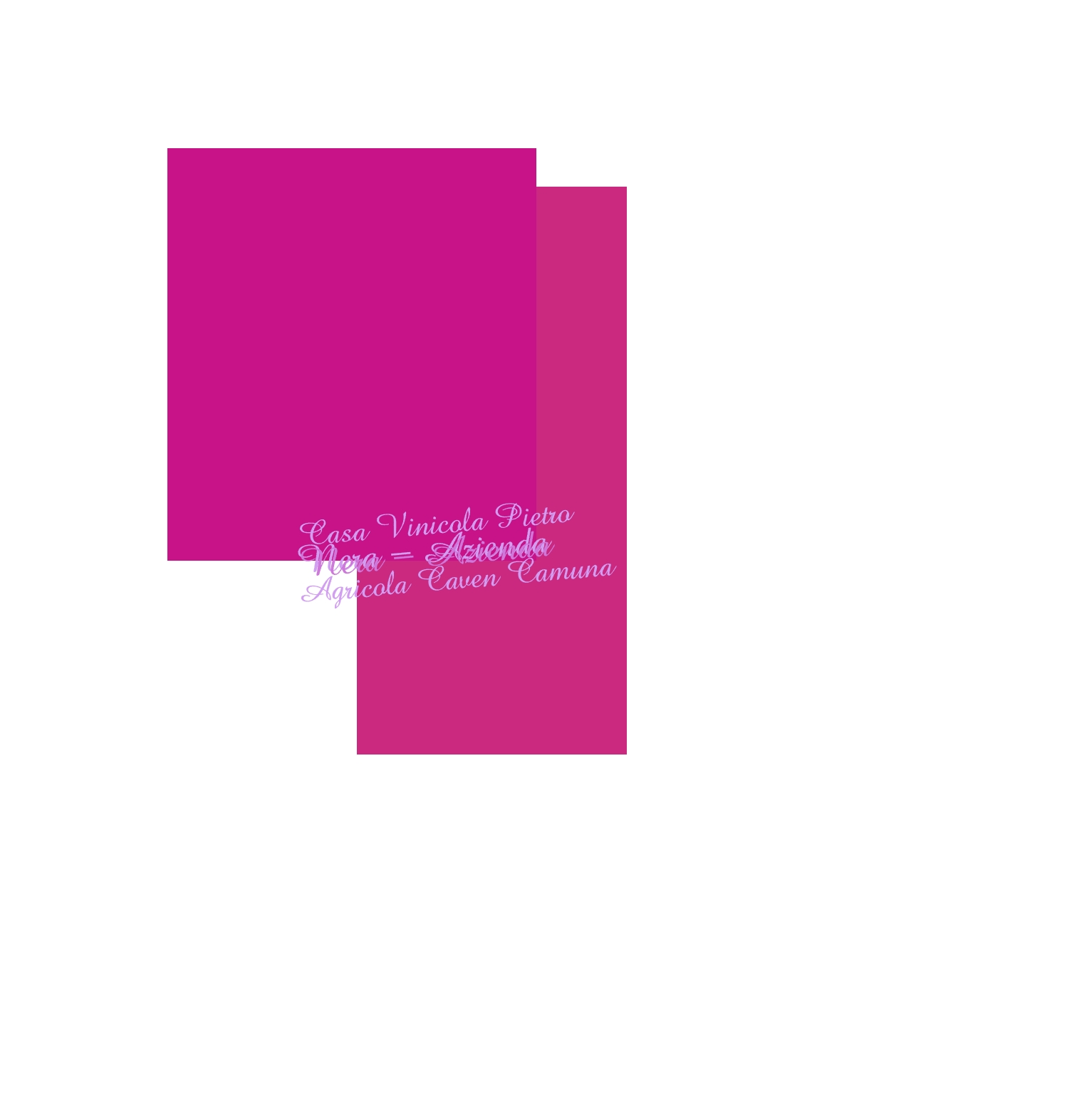 Casa Vinicola Pietro Nera - Azienda Agricola Caven Camuna